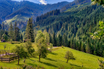 Картинка природа пейзажи простор