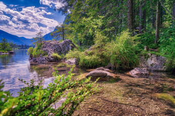 Картинка природа реки озера простор