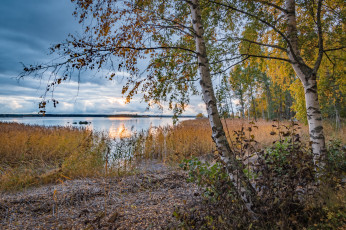 Картинка природа реки озера простор