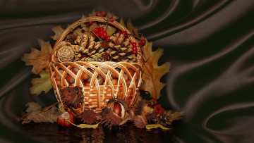 Картинка еда орехи +каштаны +какао-бобы красивые корзинка авторское фото елена аникина еловые шишки bride букеты ягоды калины осенний натюрморт elegantly nice bouquet cool harmony beauty beautiful delicate свадебные каштаны wedding