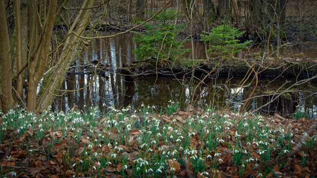 Обои картинки фото природа, реки, озера, простор