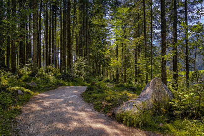 Обои картинки фото природа, дороги, простор