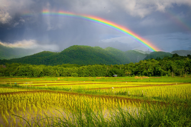 Обои картинки фото природа, радуга, простор