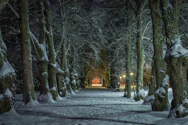 Обои картинки фото природа, другое, простор