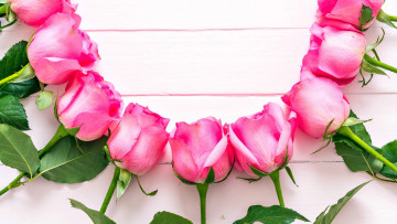 Картинка цветы розы бутоны