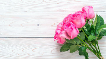 Картинка цветы розы бутоны