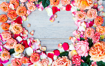 Картинка цветы розы бутоны