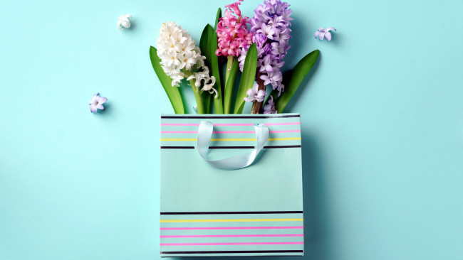 Обои картинки фото цветы, гиацинты, лиловый, белый, розовый