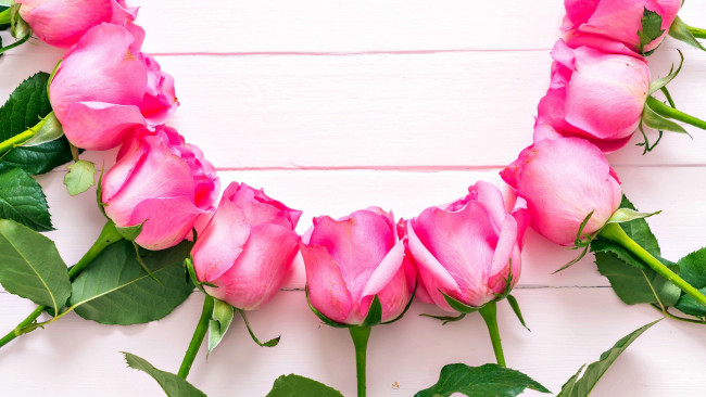 Обои картинки фото цветы, розы, бутоны