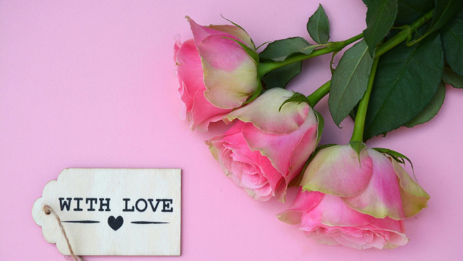 Обои картинки фото цветы, розы, трио, бутоны, розовые, записка