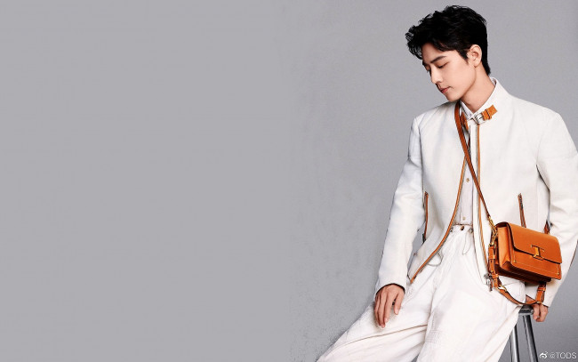 Обои картинки фото мужчины, xiao zhan, актер, костюм, сумка