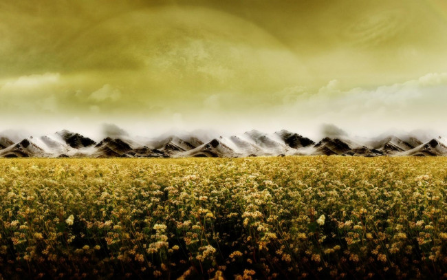 Обои картинки фото разное, компьютерный дизайн, планета, горы, поле, цветы