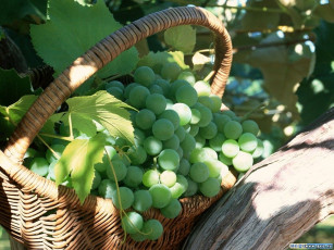 Картинка еда виноград