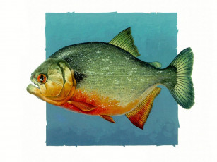 Картинка рисованные животные рыбы