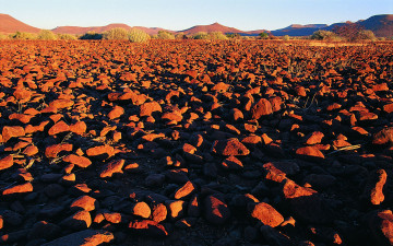 Картинка природа