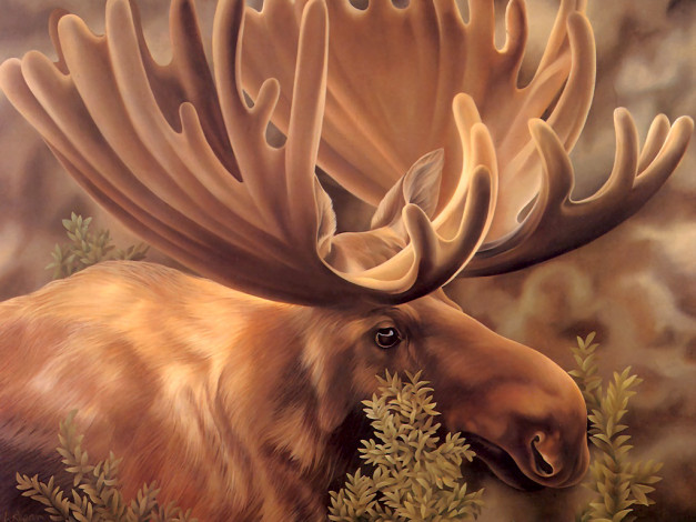 Обои картинки фото рисованные, животные, лоси