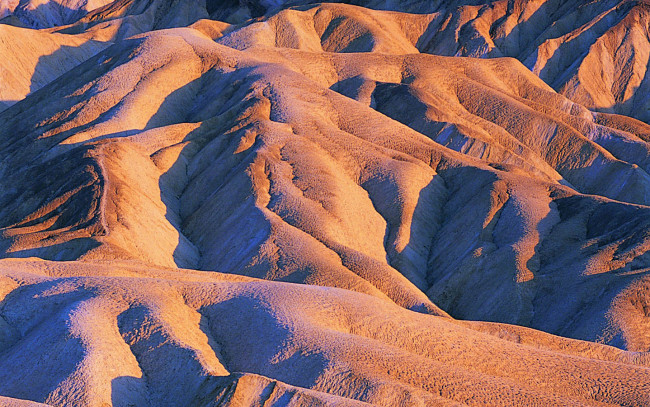 Обои картинки фото природа