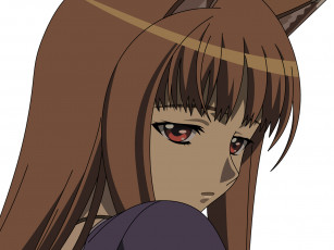 Картинка аниме spice and wolf
