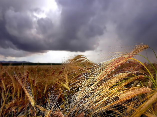 Обои картинки фото разное, компьютерный, дизайн