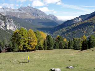 Картинка switzerland swiss national park природа горы лес