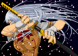 Картинка аниме ikki tousen chouun shiryuu