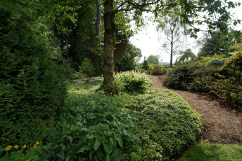 Картинка шотландия дамфрис галлоуэй природа парк