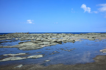 Картинка природа побережье камни