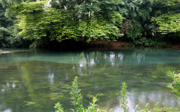 Картинка природа реки озера деревья река