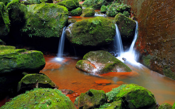 Картинка природа реки озера ручей камни мох