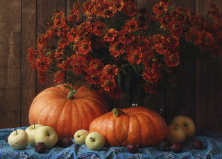 Картинка еда фрукты+и+овощи+вместе сливы тыква яблоки гелениум