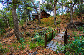 Картинка природа дороги деревья мостик тропа пригорок