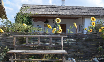 Картинка разное сооружения +постройки краснодарский край подсолнухи атамань дом