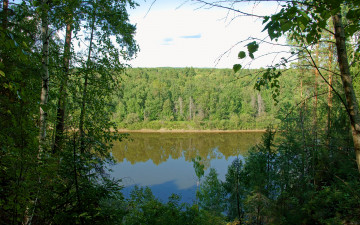 Картинка ветлуга природа реки озера река лес