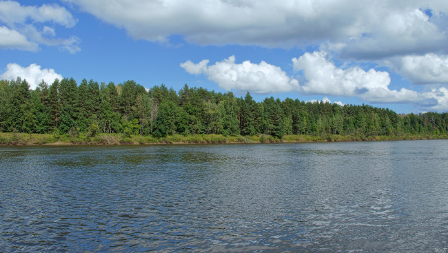 Обои картинки фото ветлуга, природа, реки, озера, облака, лес, река