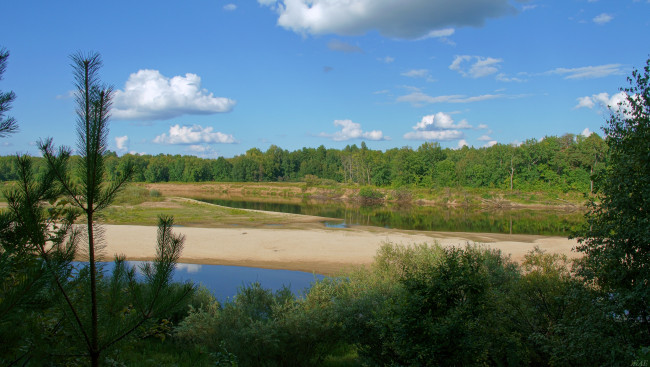 Обои картинки фото ветлуга, природа, реки, озера, облака, река, лес, пляж