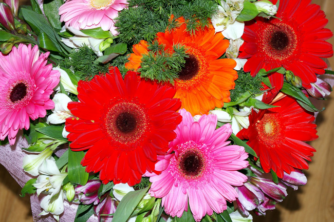 Обои картинки фото цветы, букеты,  композиции, оранжевый, красный, розовый