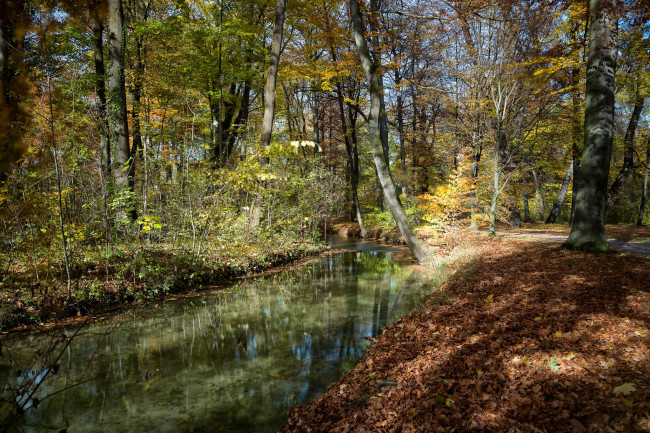 Обои картинки фото природа, реки, озера, река, лес