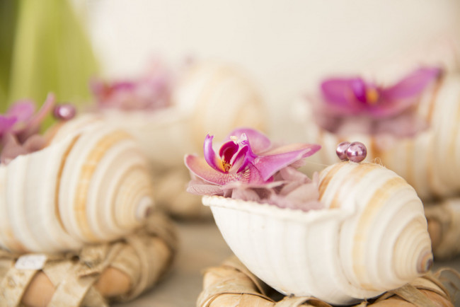 Обои картинки фото цветы, орхидеи, орхидея, цветок, бусинки, ракушки