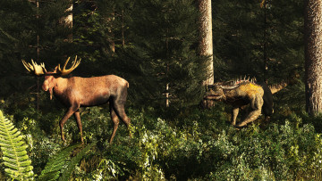 Картинка 3д+графика животные+ animals дракон лес олень