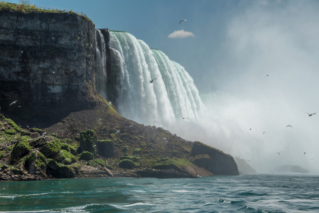 Обои картинки фото niagara, природа, водопады, лес, река, водопад