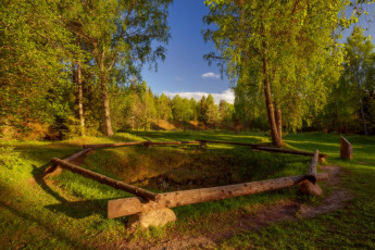 Картинка природа лес простор