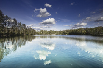 Картинка природа реки озера озеро