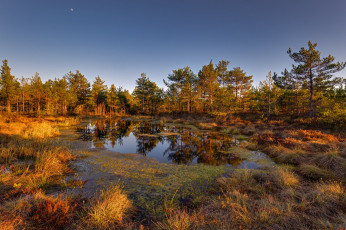 Картинка природа реки озера простор