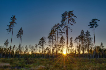 Картинка природа восходы закаты простор