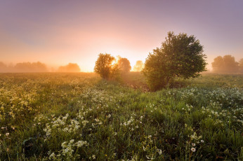 Картинка природа восходы закаты простор