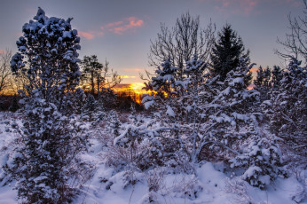 Картинка природа зима простор