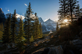 Картинка природа горы простор