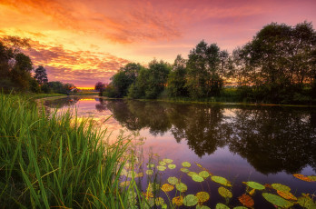 Картинка природа реки озера простор