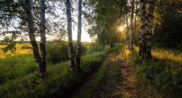 Картинка природа дороги рассвет