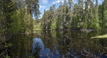 Картинка природа реки озера простор